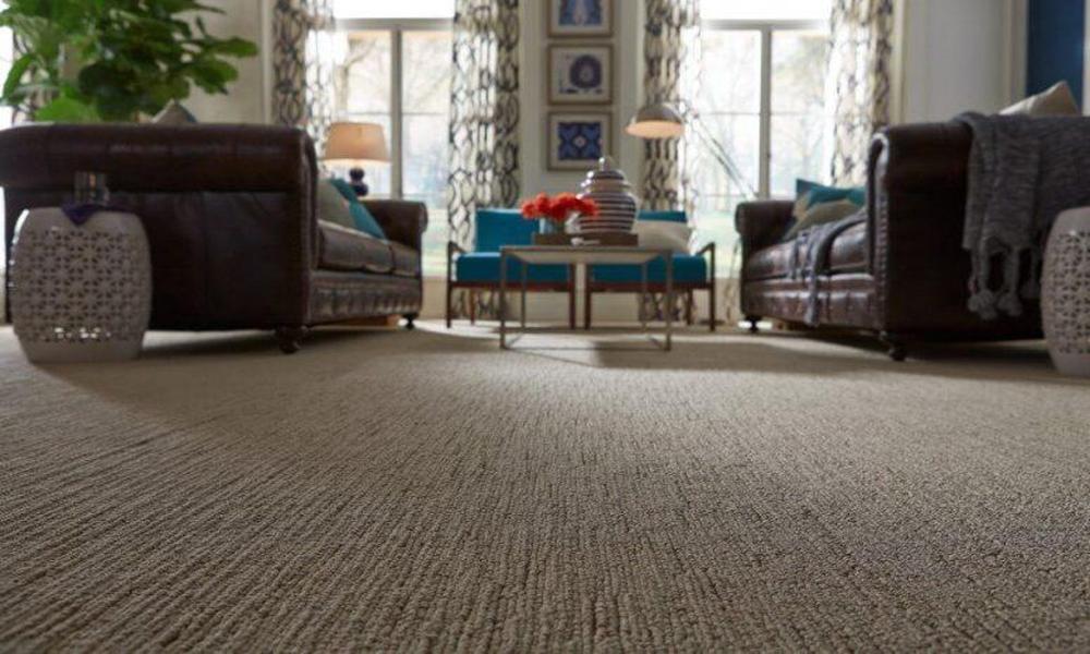 Facts to start wall to wall carpets