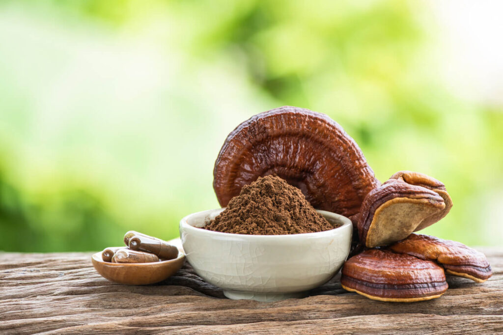 How Do Reishi Mushrooms Navigate the Path to Holistic Wellness