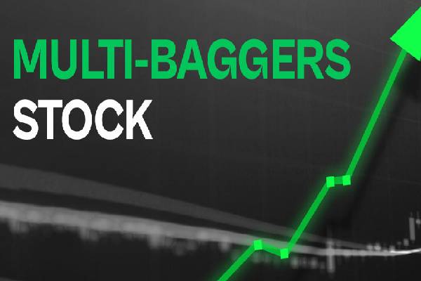 Multi-Bagger Stock 