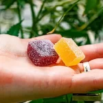 Are-Edibles-Safer-Than-Smoking-Marijuana (1)