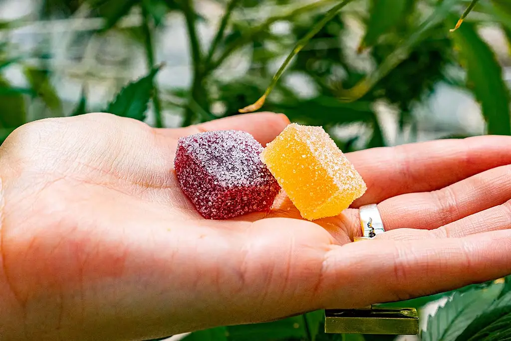 Are-Edibles-Safer-Than-Smoking-Marijuana (1)